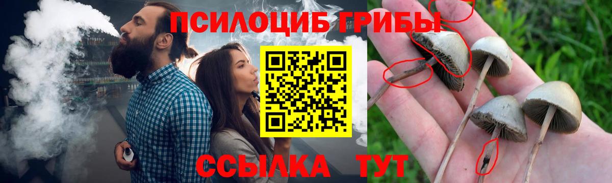 Бор  Галлюциногенные грибы MAGIC MUSHROOMS  Вход с VPN 